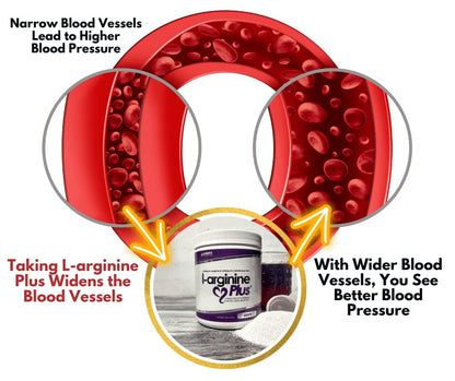 L-arginine Plus - 5110mg L-Arginine & 1010mg L, 13.4 oz | Nitric Oxide Booster
