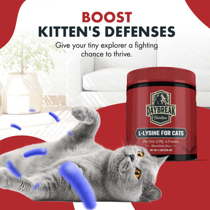 L-Lysine for Cats & Kittens - 900 mg Powder for Immunity & Respiratory Support