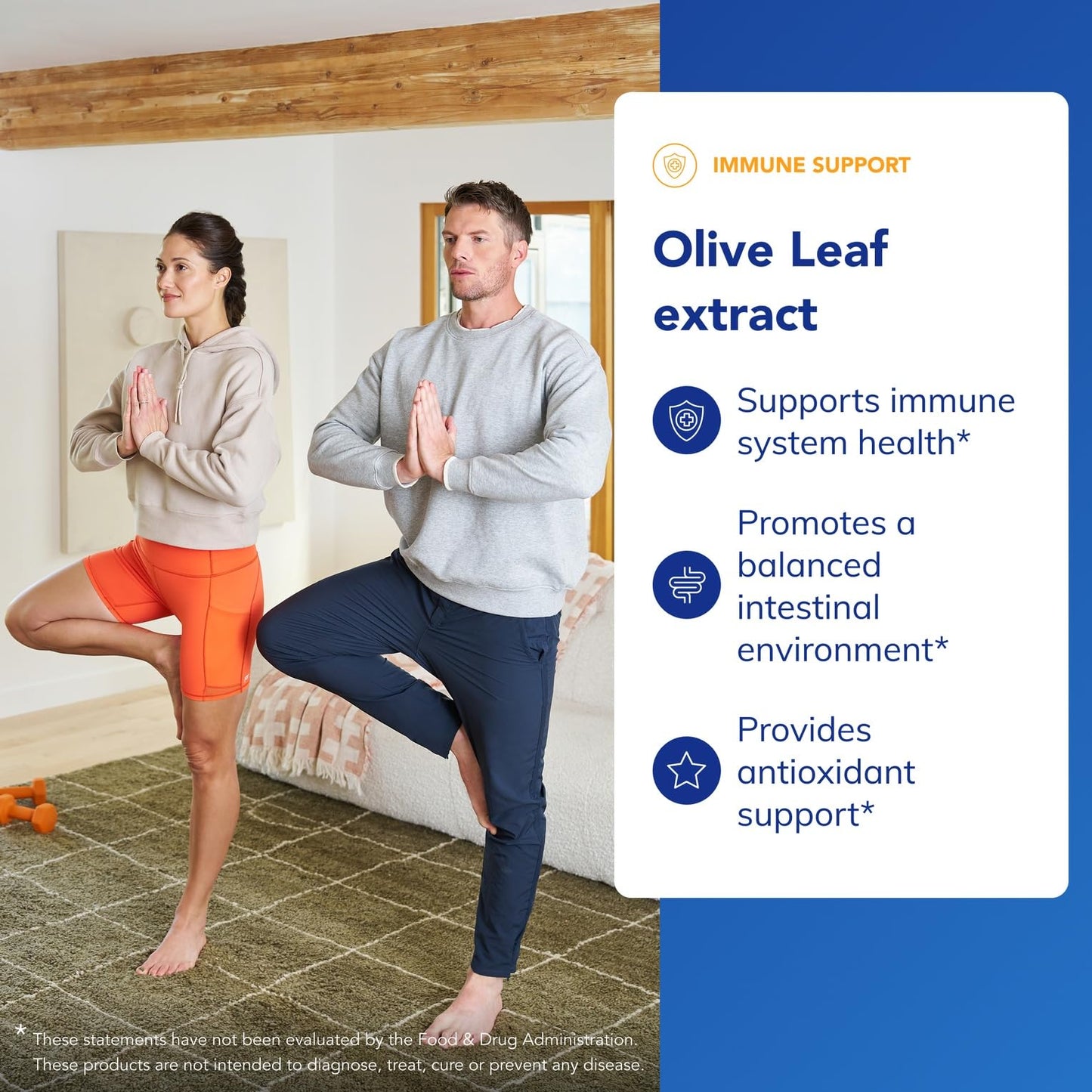 Pure Encapsulations Olive Leaf Extract – Hypoallergenic Immune Support, 60 Capsules