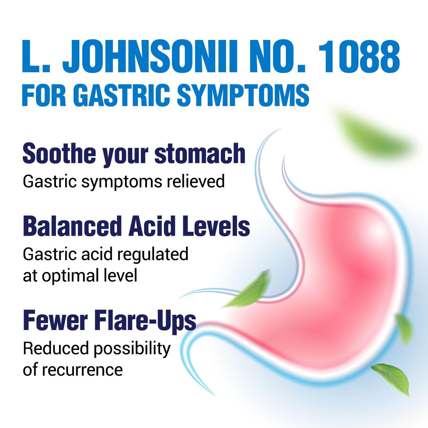 LABO Nutrition GASTRICELL – Probiotic Support for Gastric Comfort (30 Capsules)