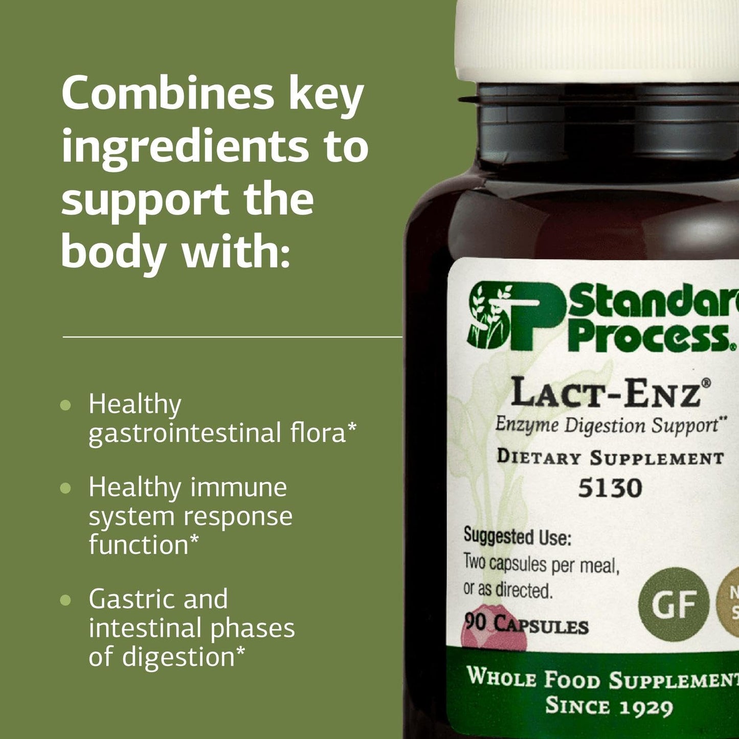 Standard Process Lact-ENZ – Whole Food Immune & Digestive Support, 90 Capsules