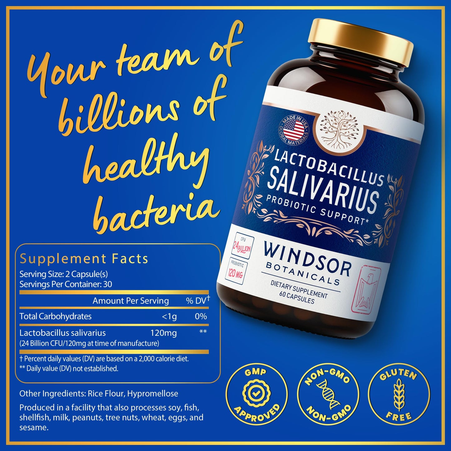 Lactobacillus Salivarius Probiotic 24bn CFU for Teeth & Gums - Bad Breath, Immune & Digestive Health - 60 Capsules
