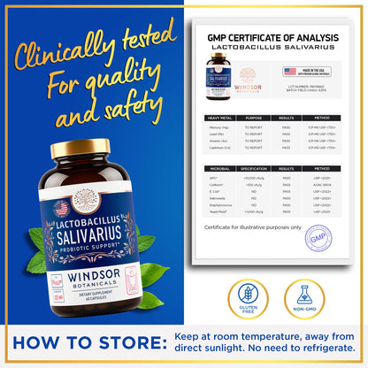 Lactobacillus Salivarius Probiotic 24bn CFU for Teeth & Gums - Bad Breath, Immune & Digestive Health - 60 Capsules