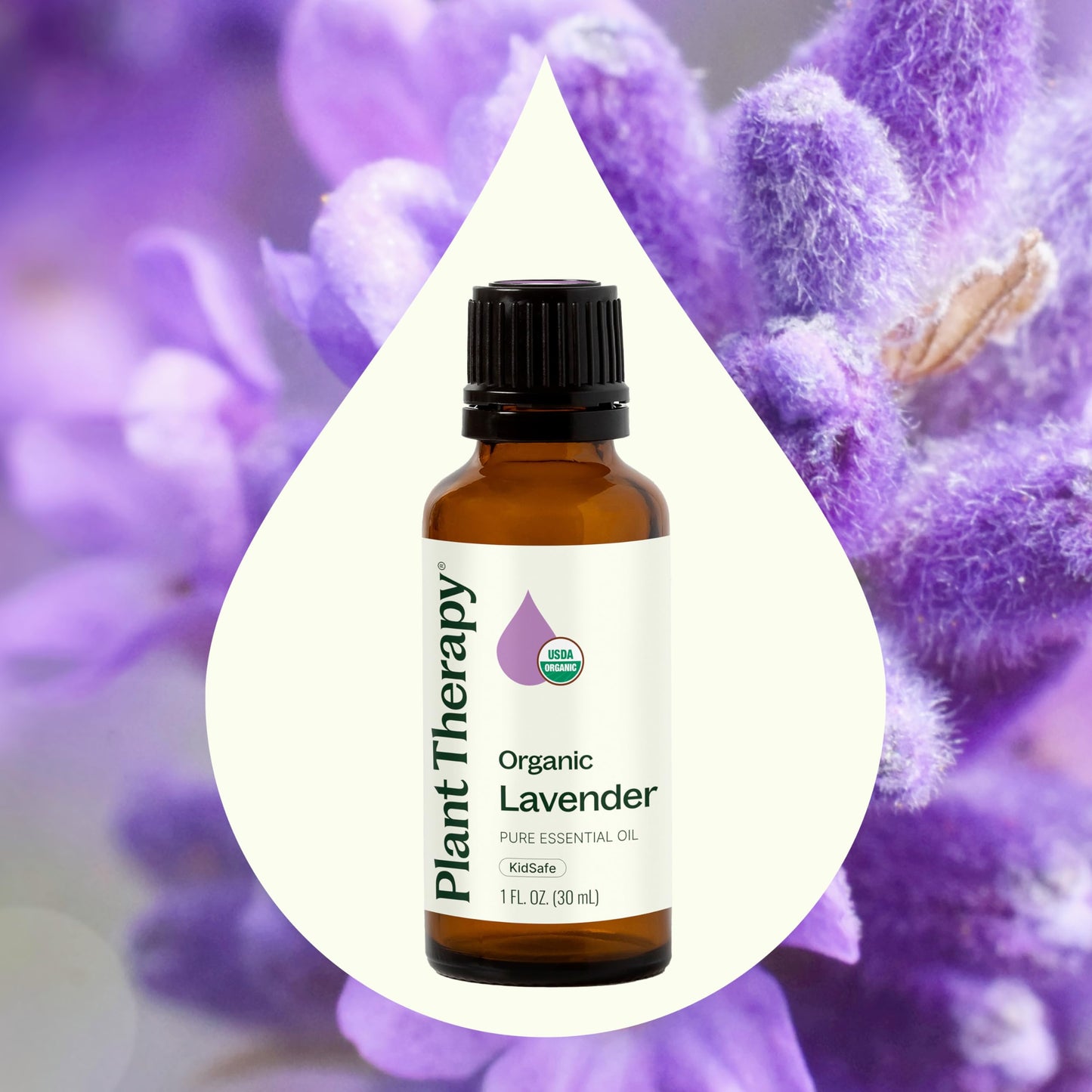 Plant Therapy Organic Lavender Essential Oil 30 mL – 100% Pure, USDA Certified Organic