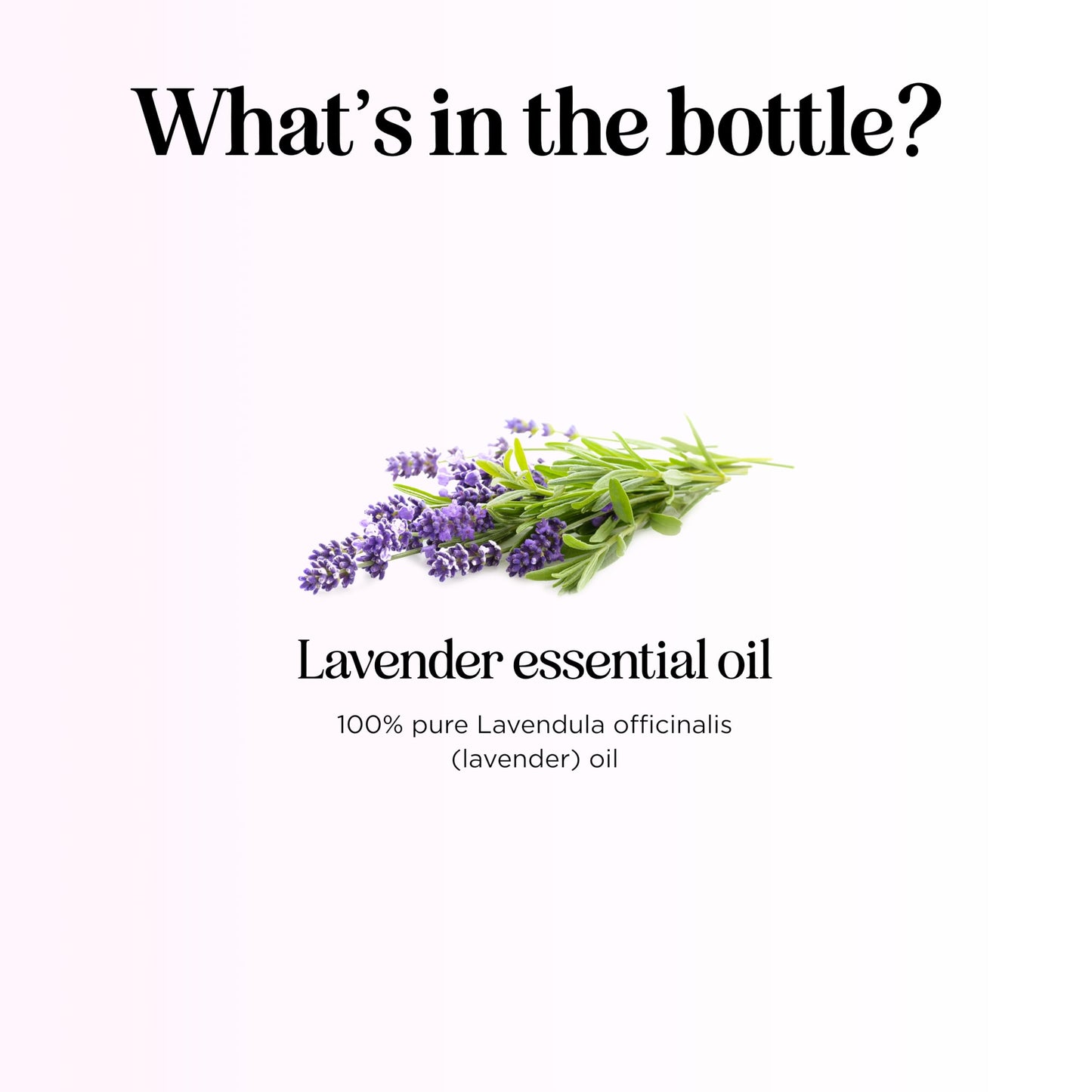 Pure Lavender Essential Oil – Hair, Skin & Nails | 1 Fl Oz Glass Bottle