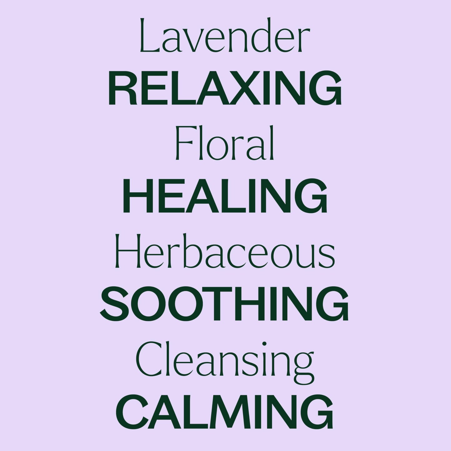 Plant Therapy Lavender Essential Oil – 100% Pure, Undiluted, Therapeutic Grade (10 mL)