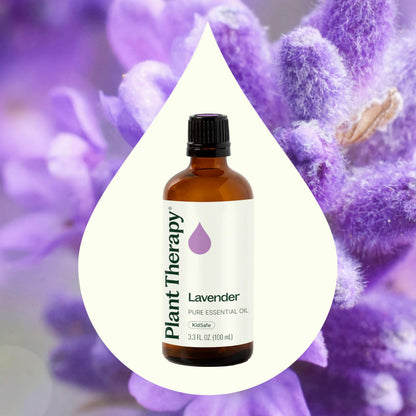 Plant Therapy Lavender Essential Oil - 100% Pure, Undiluted, Therapeutic Grade, 100 mL