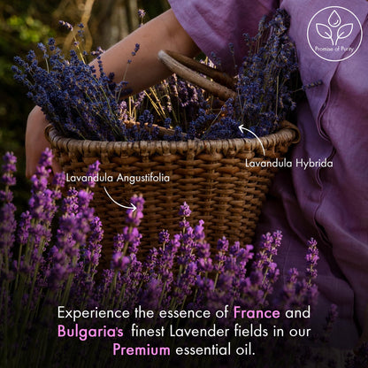 Majestic Pure Lavender Essential Oil - 100% Pure & Natural, 1 Fl Oz