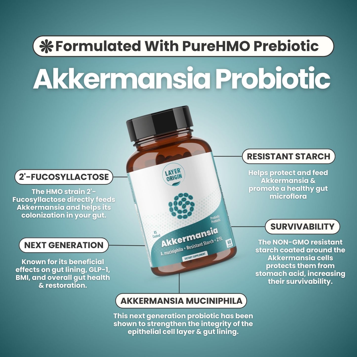 Layer Origin Akkermansia muciniphila Probiotic – PureHMO Prebiotic, Live Strain, 30-Day
