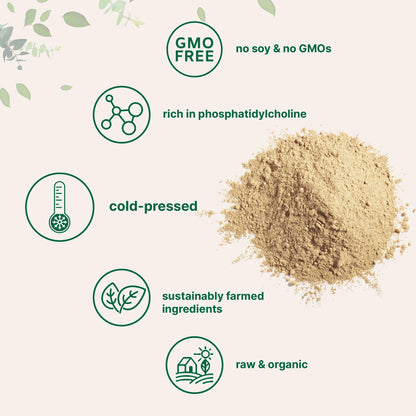 Organic Sunflower Lecithin Powder – 1 lb, Cold Pressed & Non-GMO