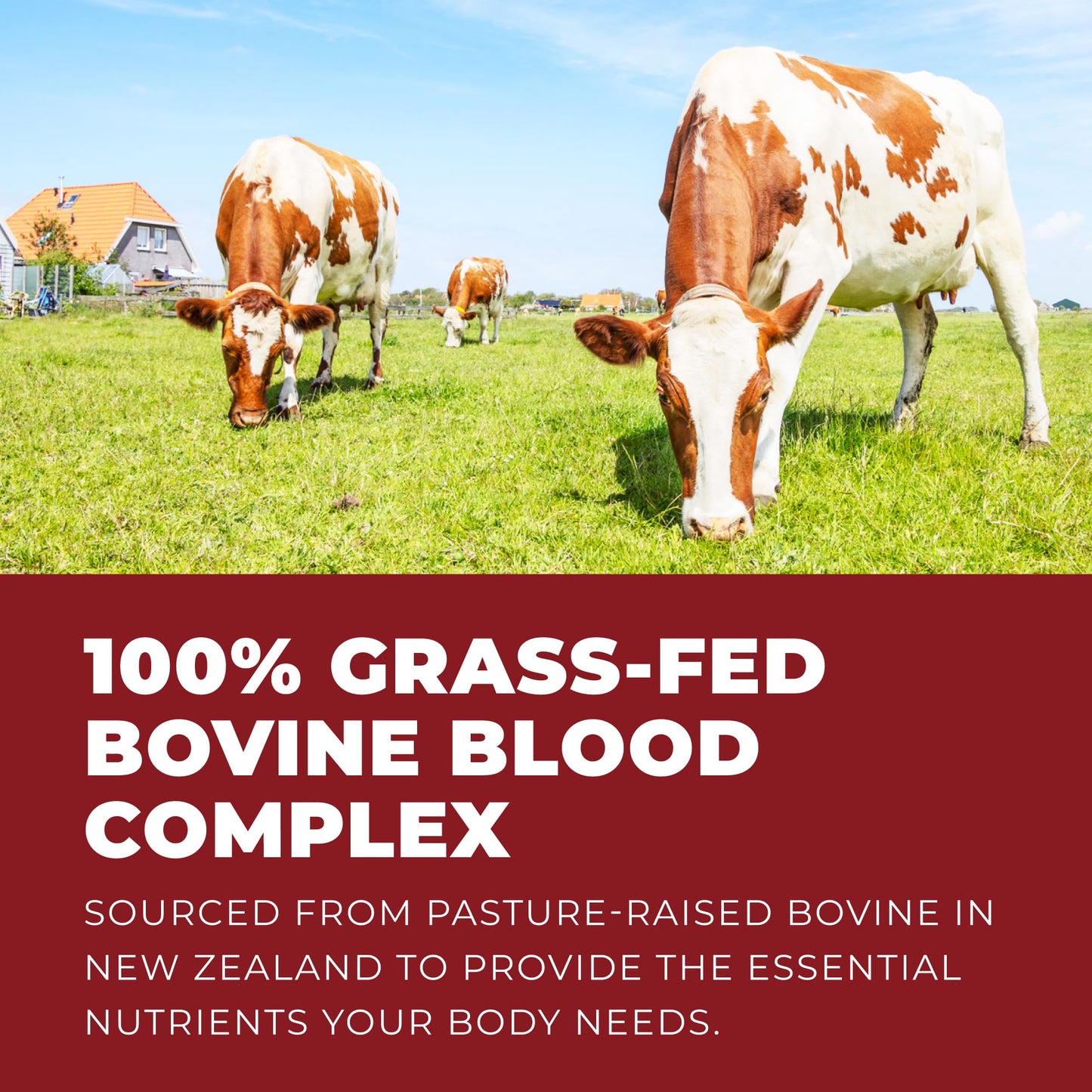 Left Coast Performance Grass-Fed Bovine Blood & Beef Liver Supplement – NZ Pasture Raised, Freeze-Dried, 180 Capsules