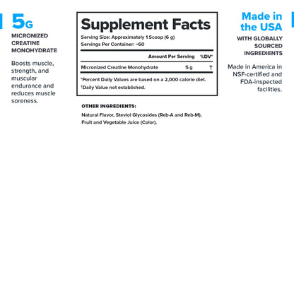 LEGION Micronized Creatine Monohydrate - Fruit Punch, 60 Servings | Muscle Gain & Recovery