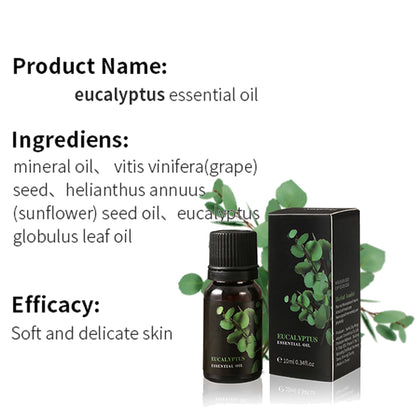 LEHOYIANG Eucalyptus Essential Oil 10ml for Diffusers, Candles & Soaps