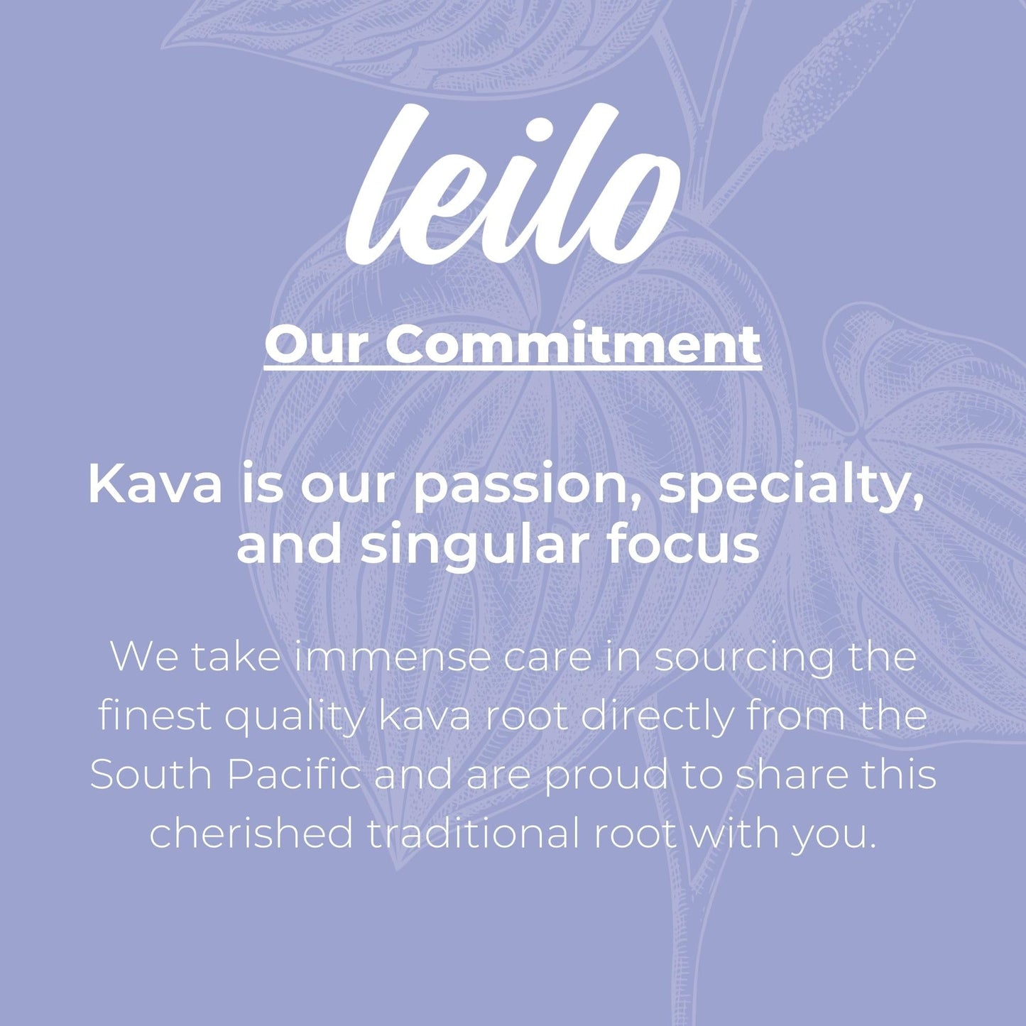LEILO Kava Powered Sparkling Relaxation Drink – Blackberry Orange 12-Pack | Non-ALC Calming Beverage | 12 fl oz Cans