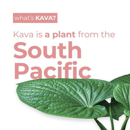 LEILO Kava-Powered Sparkling Relaxation Drink | Raspberry Hibiscus 12-Pack | Non-Alc Calming Beverage