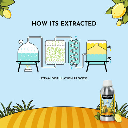 16 oz Lemon Essential Oil – 100% Pure & Natural | Minamino Blends