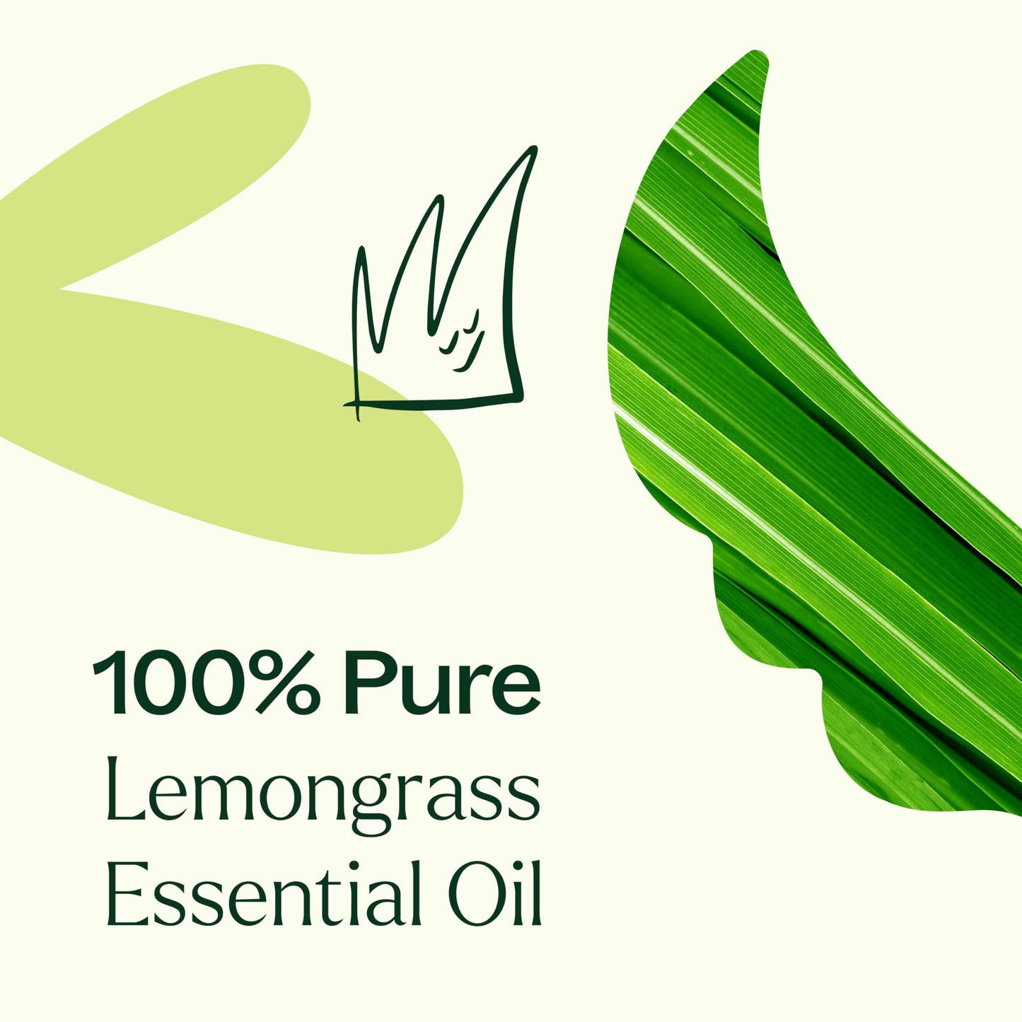 Plant Therapy Organic Lemongrass Essential Oil – 100% Pure, USDA Organic, 10 mL