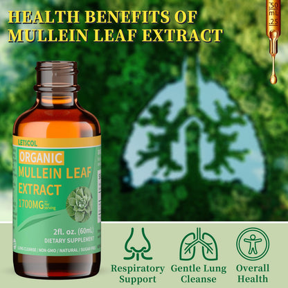 LETSCOL Organic Mullein Drops – 1700mg Mullein Leaf Extract for Lung & Immune Support | Non-GMO, Vegan, 2 Oz