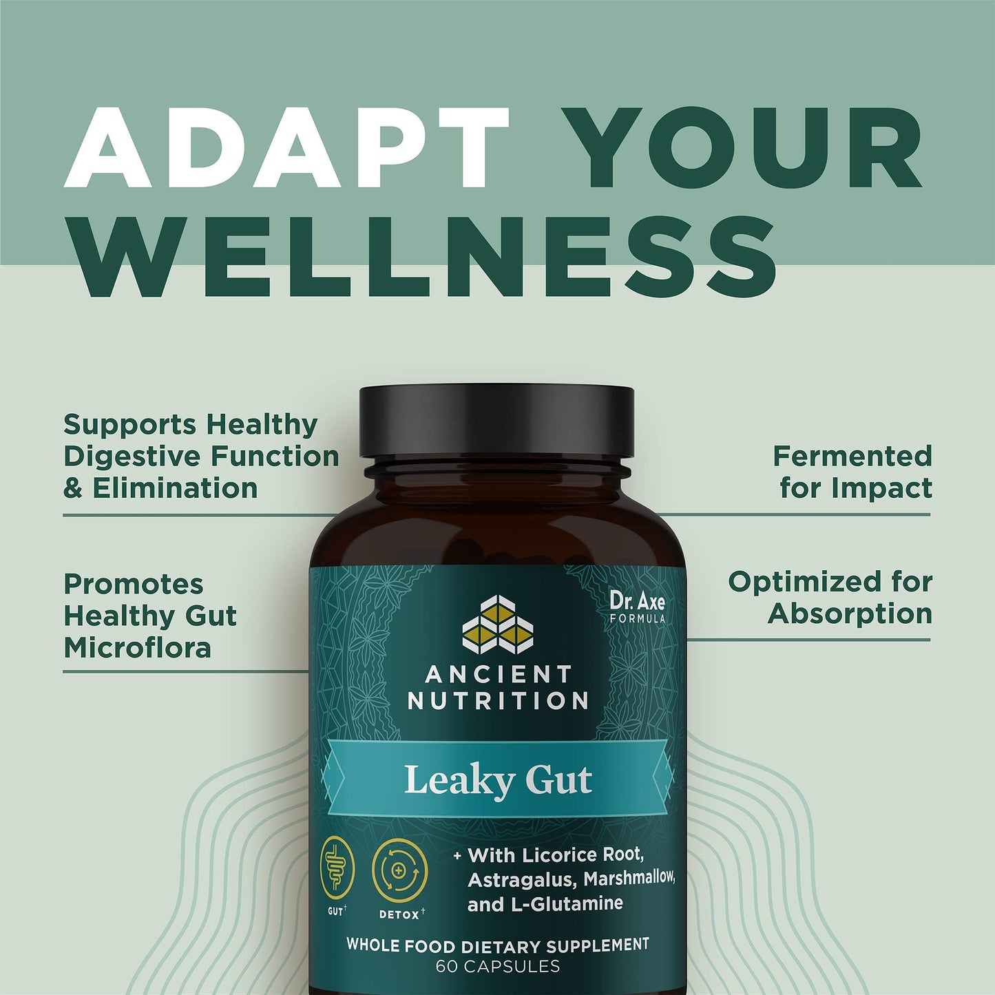 Ancient Nutrition Leaky Gut Capsules 60 Count – Gut Health Support