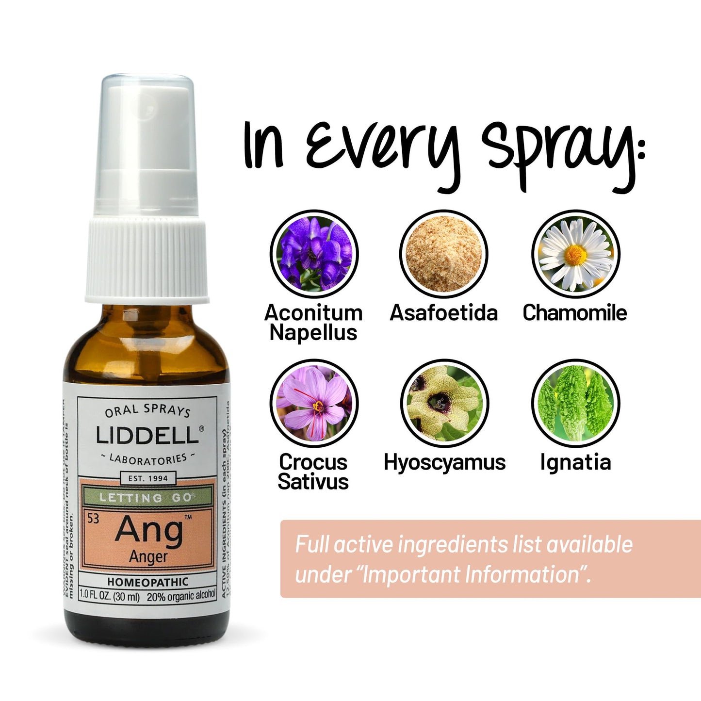 Liddell Homeopathic Letting Spray – Go Anger (1 fl oz)