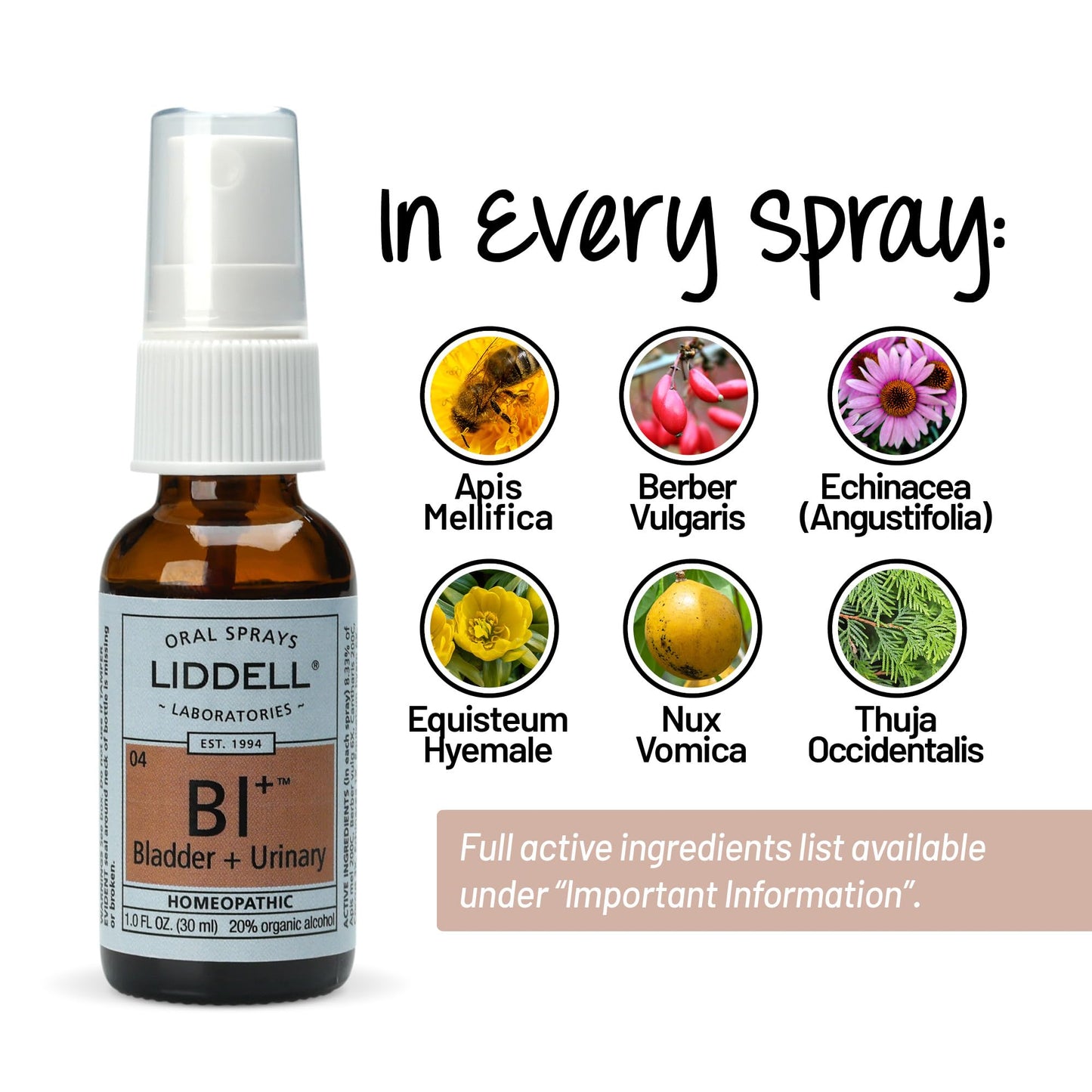 Liddell Homeopathic Bladder & Urinary Spray – 1 fl oz | Natural Relief