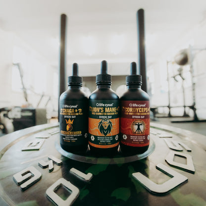 Life Cykel This is It Pack: Chaga, Lion's Mane & Cordyceps – Full-Spectrum Mushroom Extract for Energy, Clarity & Immune Support | Vegan, Non-GMO
