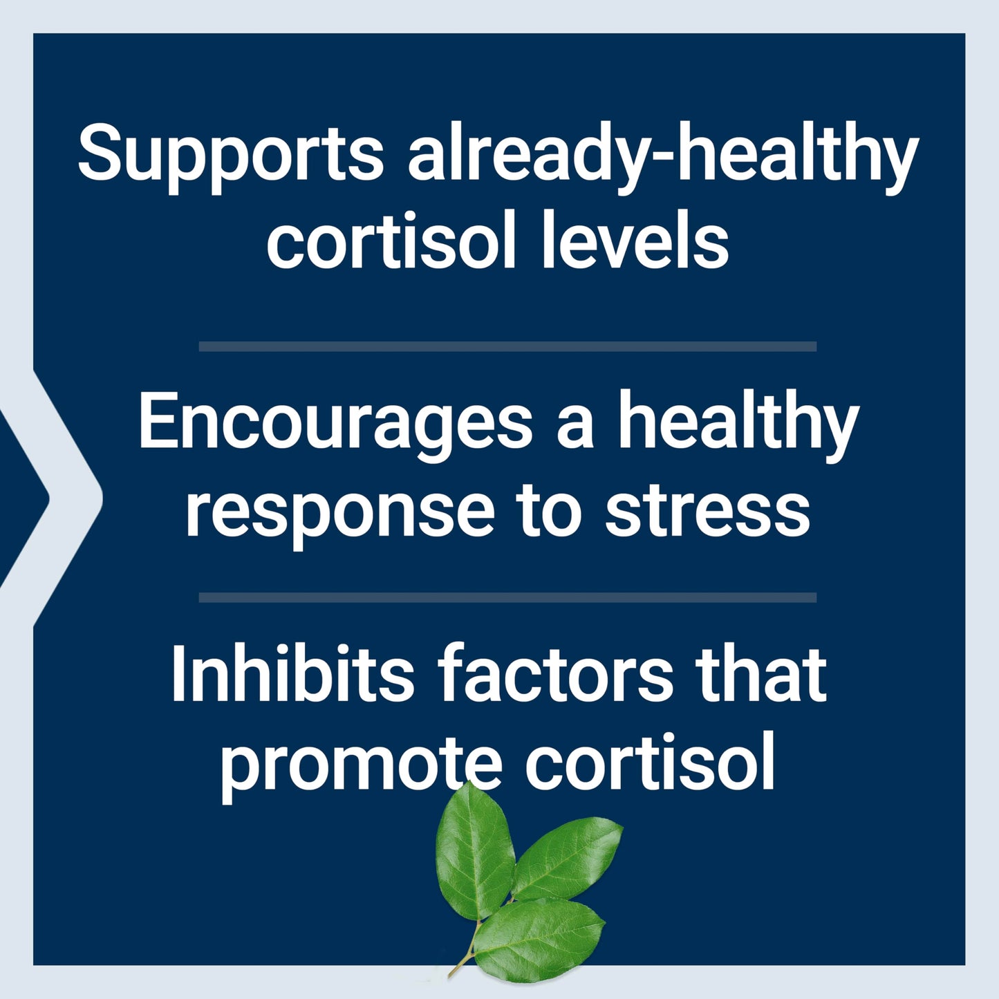 Life Extension Cortisol-Stress Balance | Relora Magnolia Bark, Green Tea & Lychee Extract | 30 Vegetarian Capsules