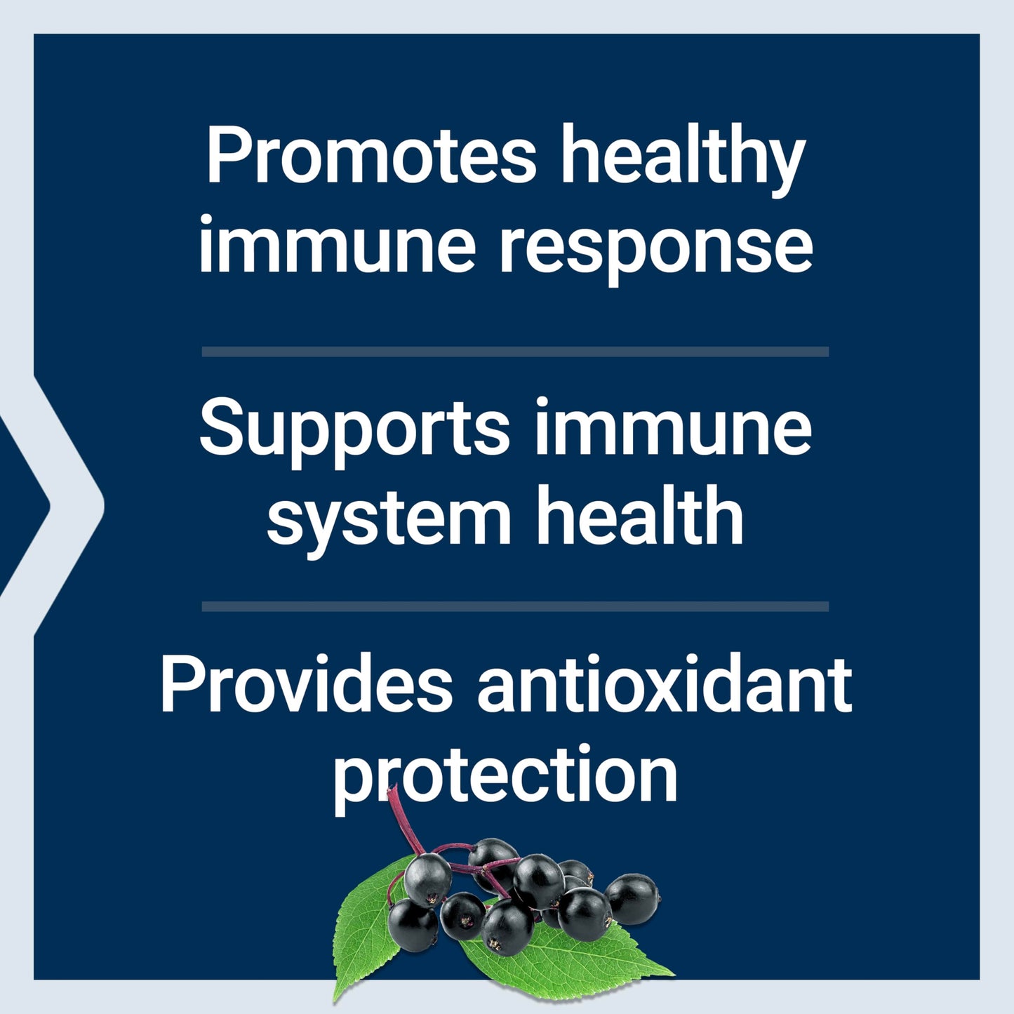 Life Extension Black Elderberry + Vitamin C | Everyday Immune Support, 60 Vegetarian Capsules