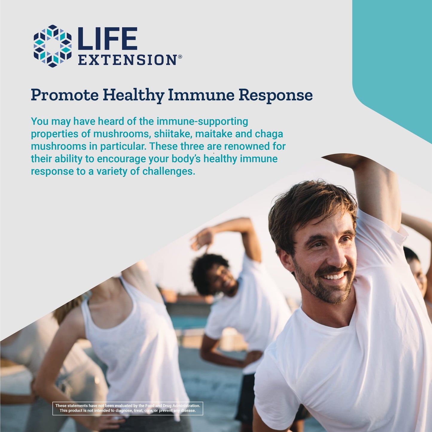 Life Extension Mushroom Immune with Beta Glucans – Immune Support Formula