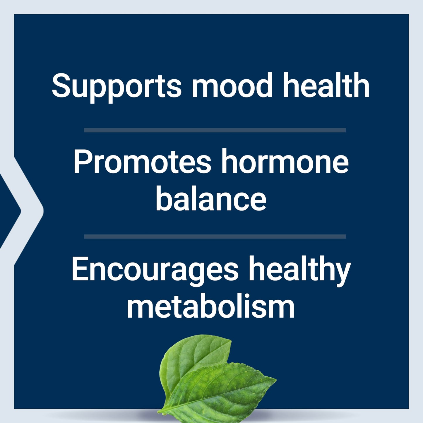 Life Extension Inositol Caps – 1000 mg Myo-Inositol for Mood, Metabolism & Hormone Balance – Gluten-Free, Non-GMO, Vegetarian – 360 Capsules