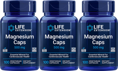 Life Extension Magnesium 500 mg – 100 Vegetarian Capsules (Pack of 3) | Non-GMO