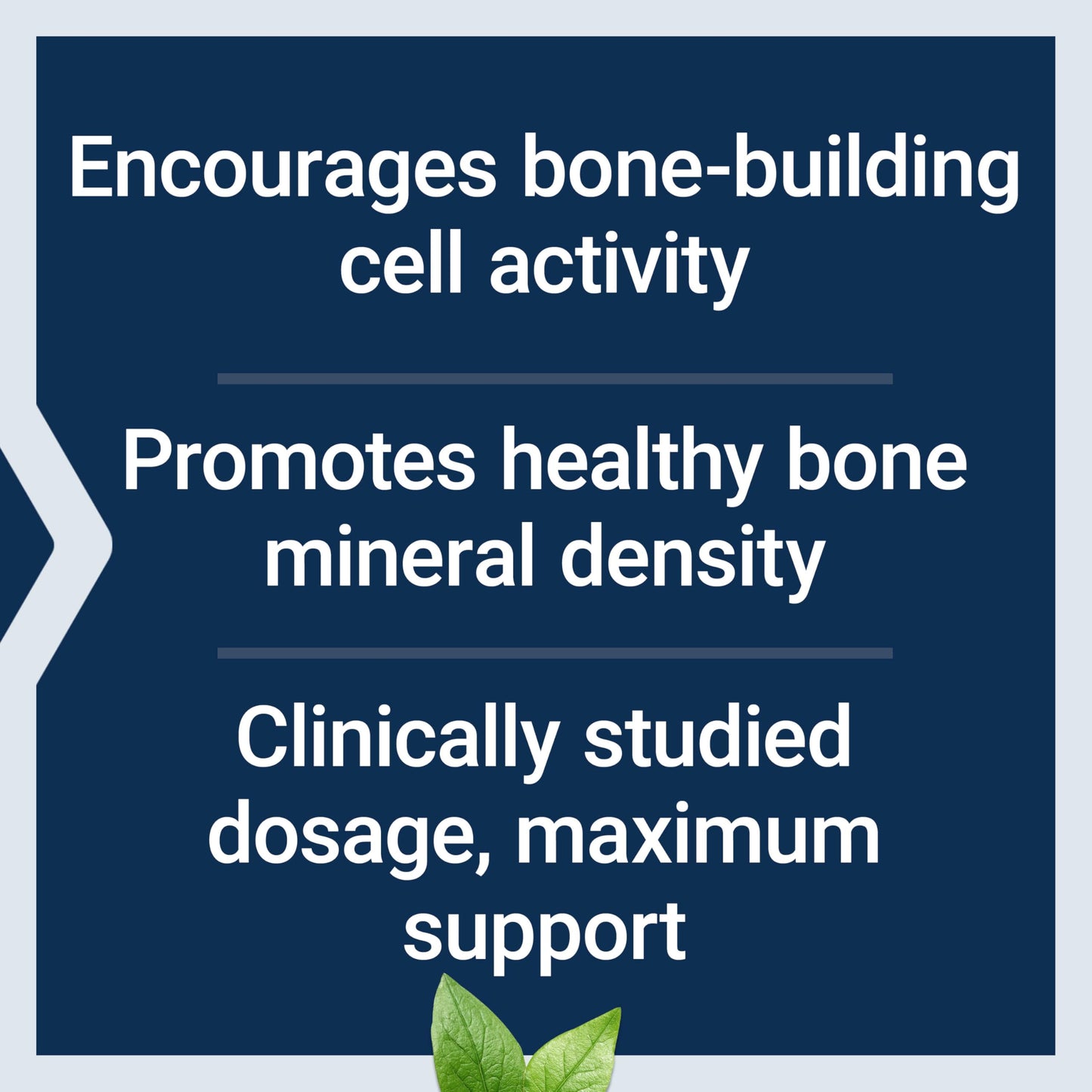 Life Extension Mega Vitamin K2 – 45 mg K2 for Strong Bones, 30 Capsules