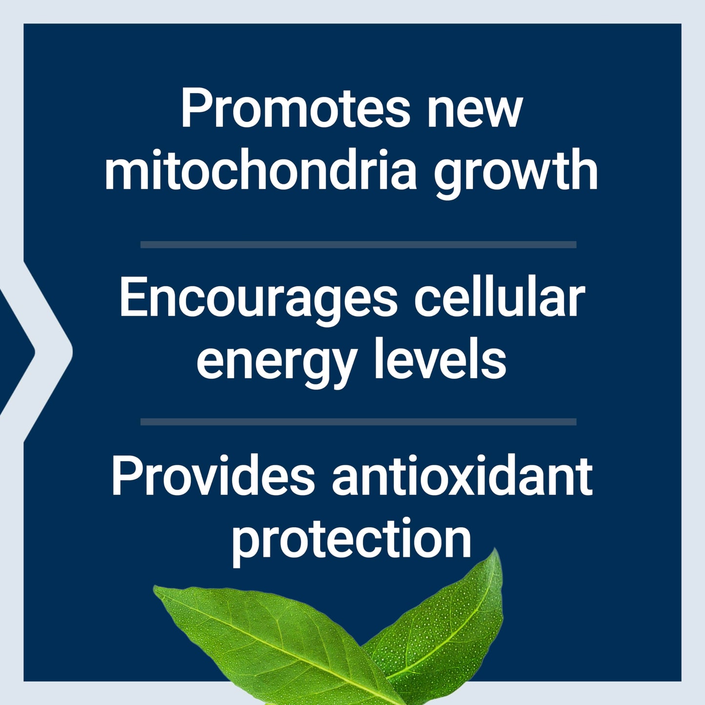Life Extension PQQ 20 mg – Promotes New Mitochondria | Gluten-Free, Non-GMO, Vegetarian