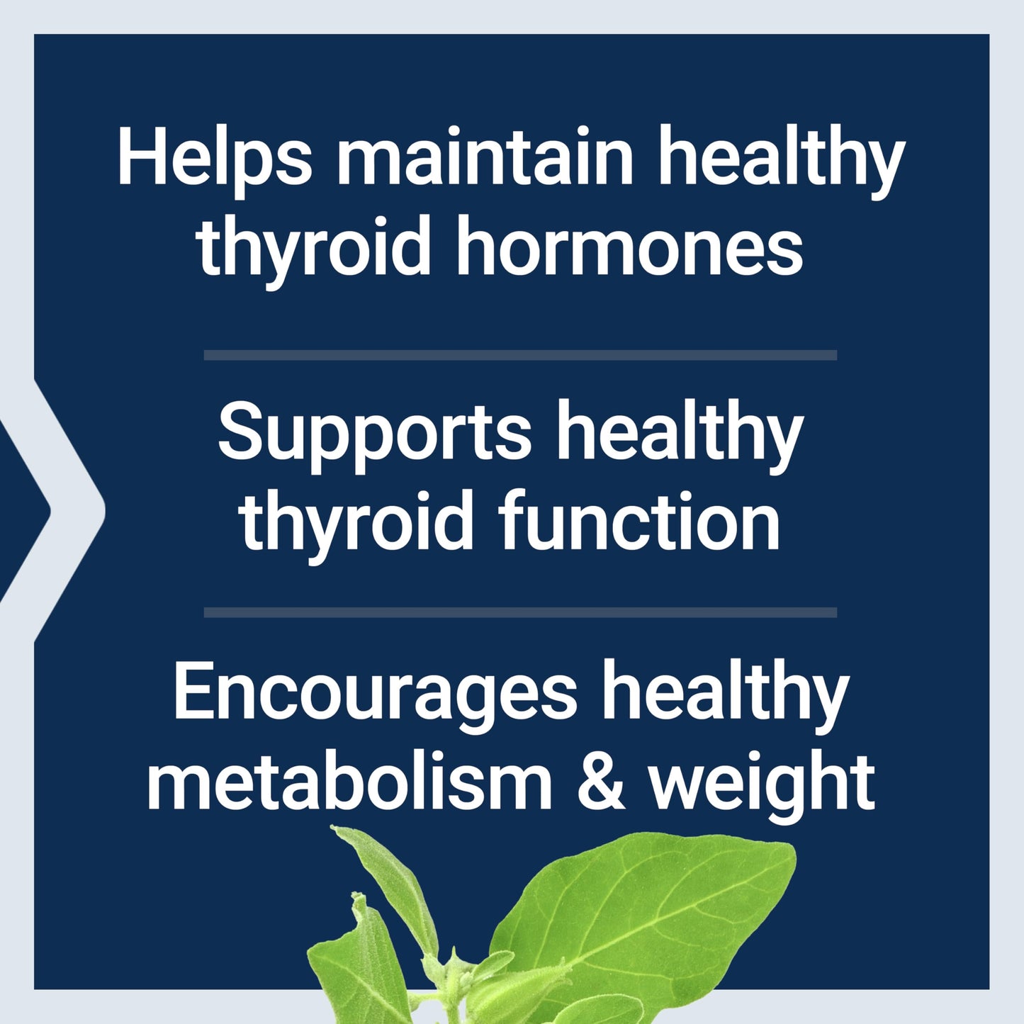 Life Extension Thyroid Support Complex – Thyroid Health Supplement (60 Capsules)