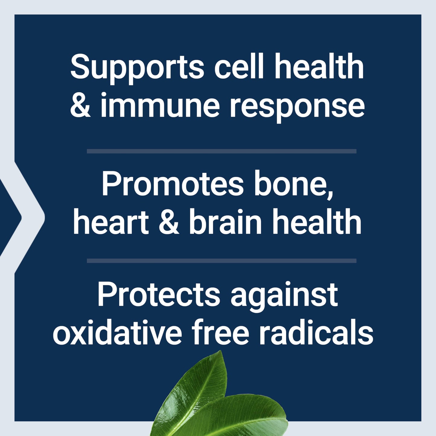 Life Extension Whole Food Multivitamin – Plant-Derived Vitamins, Gluten-Free, 90 Capsules