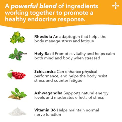 LifeSeasons Adrenal-T – Adrenal Fatigue Support with Ashwagandha Adaptogens | 60 Capsules