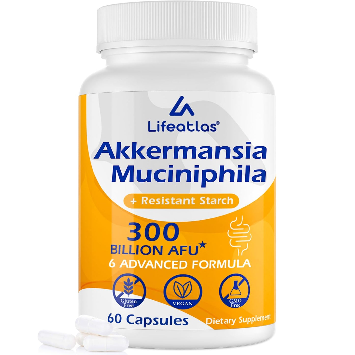 Lifeatlas Akkermansia Probiotic Supplement | 300 Billion AFU, 6-in-1 Gut Health, 60 Capsules