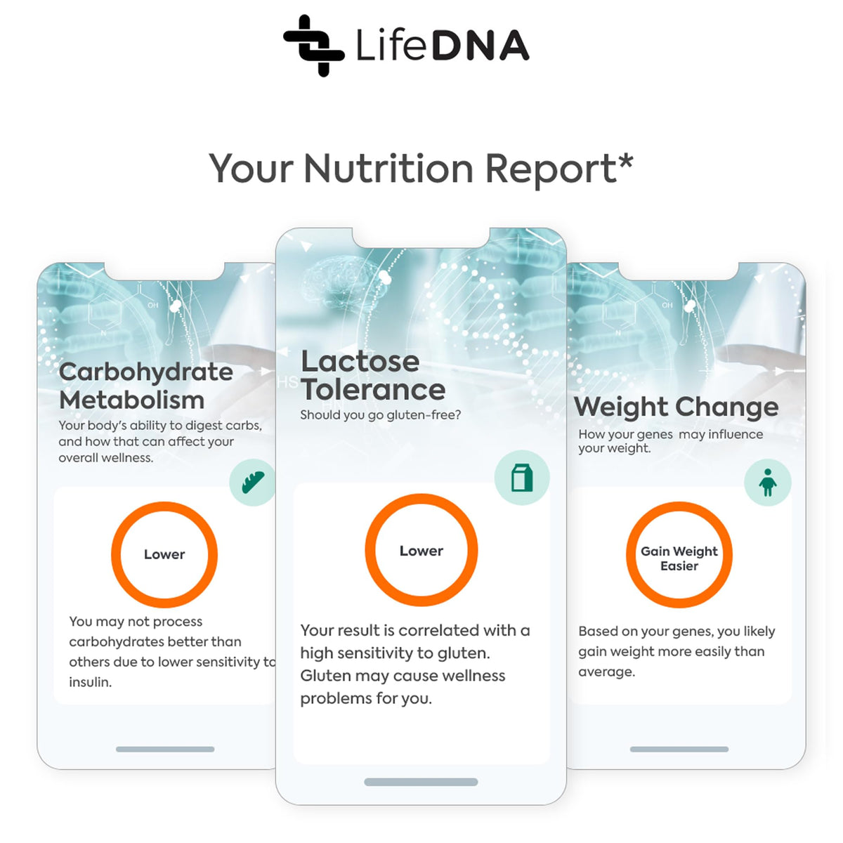 LifeDNA 13 Methylation Genes Test – Complete Wellness Analysis & 135+ Insights
