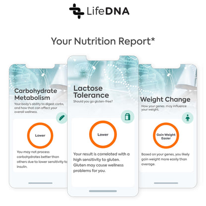 LifeDNA 13 Methylation Genes Test – Complete Wellness Analysis & 135+ Insights