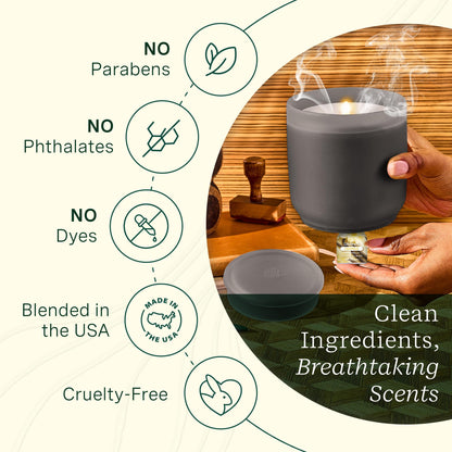Lifelines ClickWick Very Vanilla 3-Pack – Essential Oil Blends for Lifelines Diffusers