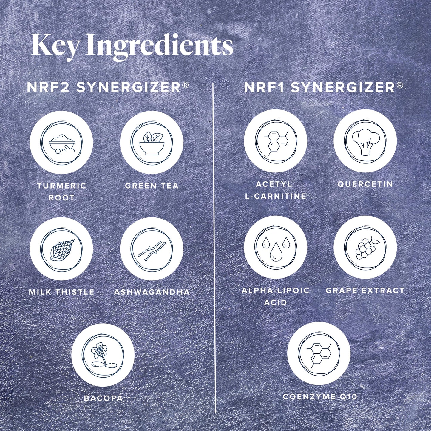 LifeVantage Protandim Dual Synergizer NRF1 + NRF2 Activators – Cellular Energy & Healthy Aging (60 NRF1 + 30 NRF2 Caps)