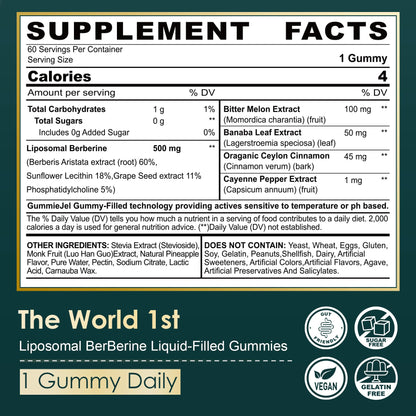 LILICARE Berberine 500mg Liposomal Gummies – Once Daily Metabolism Support, AMPK Activation, Sugar Free, Vegan | 60 Count