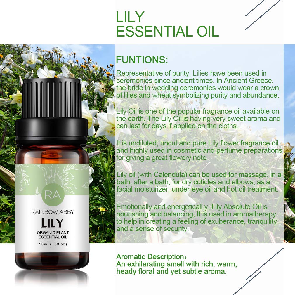 Lily Essential Oil 100% Pure – Organic Lilium Auratum (10ml) | Rainbow Abby