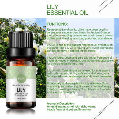 Lily Essential Oil 100% Pure – Organic Lilium Auratum (10ml) | Rainbow Abby