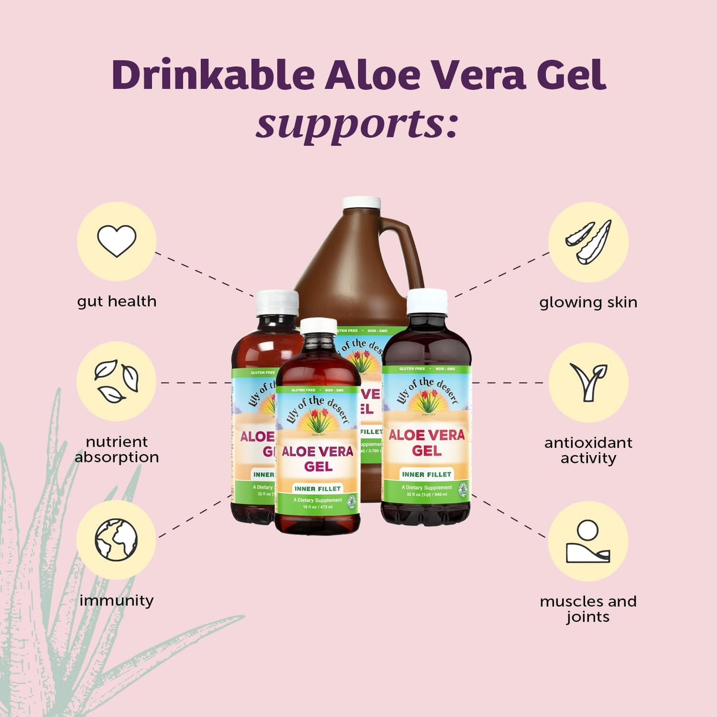 Lily Of The Desert Organic Aloe Vera Juice 2-Pack – Inner Fillet, Gut Health & Digestive Support, 32 Fl Oz Ea