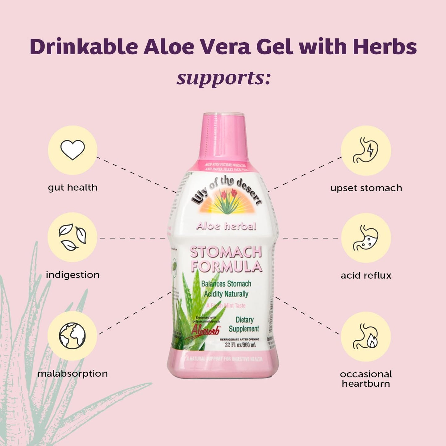Lily Of The Desert Stomach Formula – Organic Aloe Vera Juice with Slippery Elm & Herbs (Pack of 2)