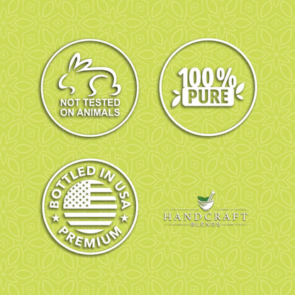 Handcraft Blends Lime Essential Oil – 1oz | 100% Pure & Natural