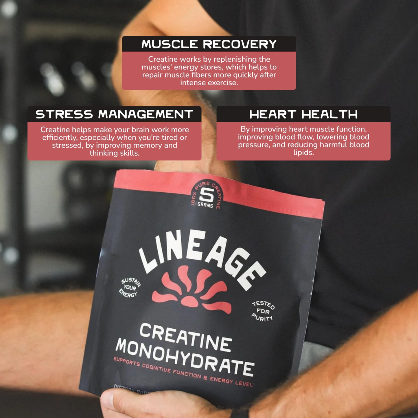 Lineage Provisions Micronized Creatine Monohydrate with Sea Salt – Micronized Creatine Powder for Training & Performance | 90 Servings