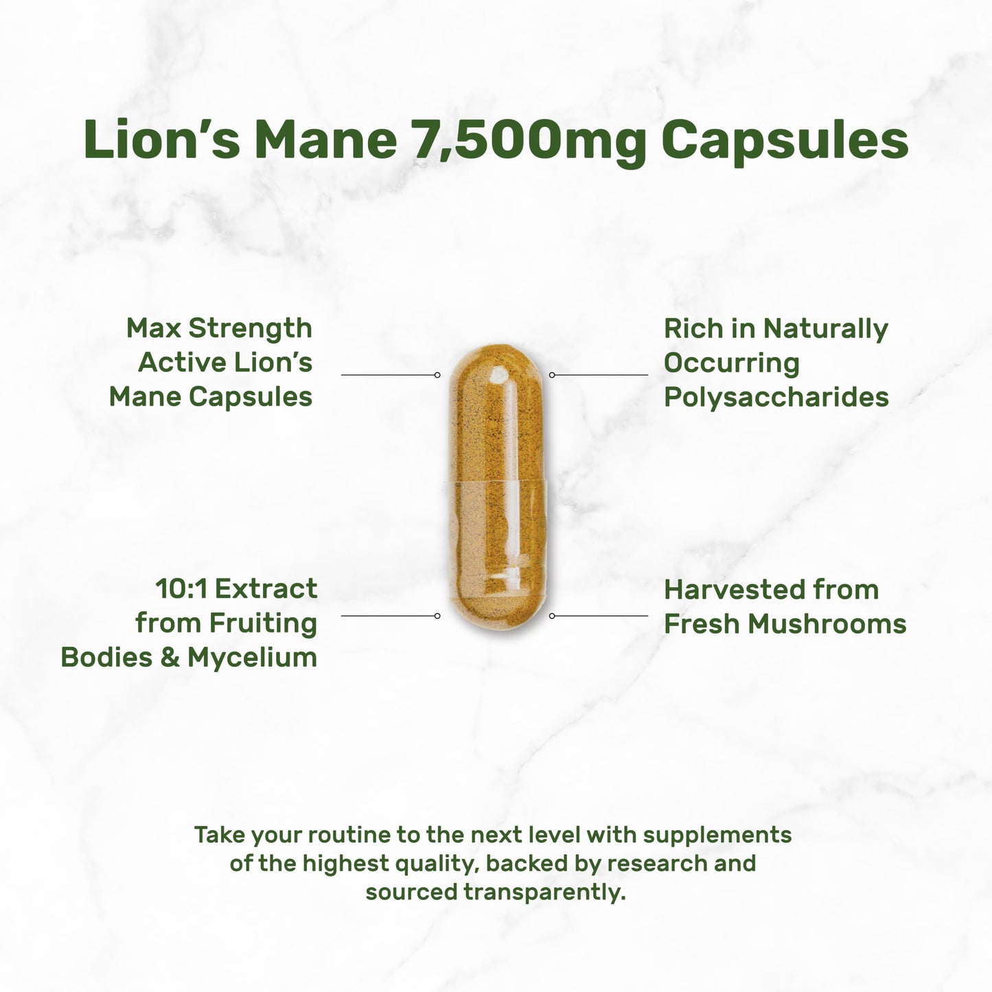 Lion's Mane Mushroom Supplement – 240 Capsules – Active Fruiting Body & Mycelium Extract – Non-GMO