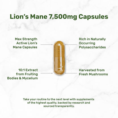 Lion's Mane Mushroom Supplement – 240 Capsules – Active Fruiting Body & Mycelium Extract – Non-GMO